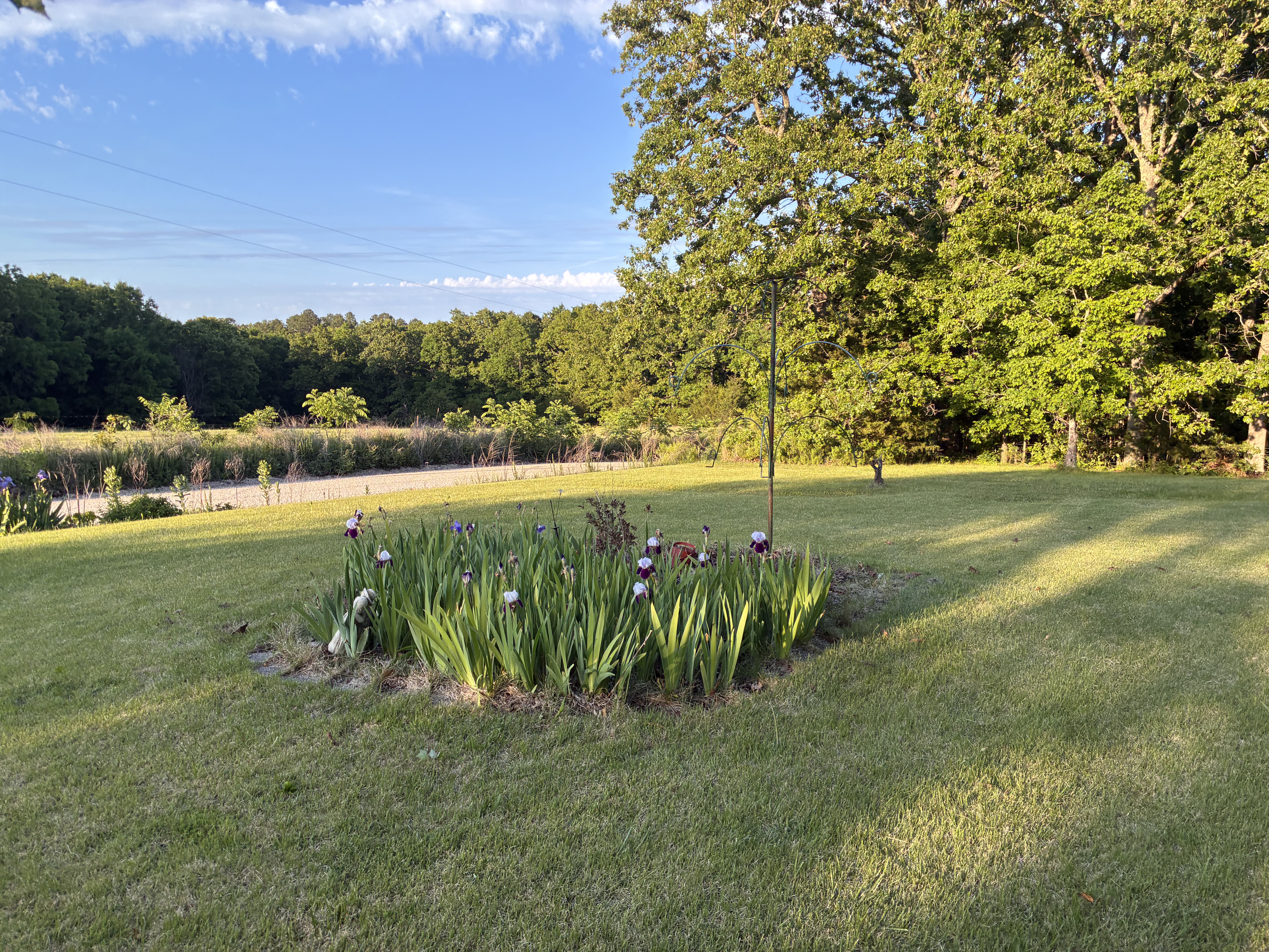 Stone steps and garden beds